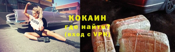 гидра Киреевск