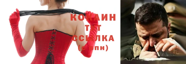 гидра Киреевск