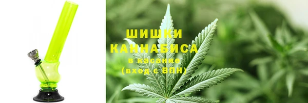 гидра Киреевск