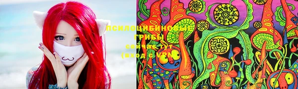 a pvp Кинешма