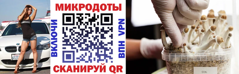 Купить где  Кудымкар  Галлюциногенные грибы мухоморы 