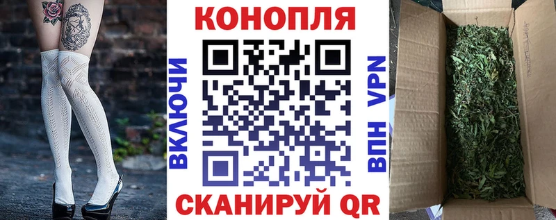 Марихуана сатива Купить где Кудымкар